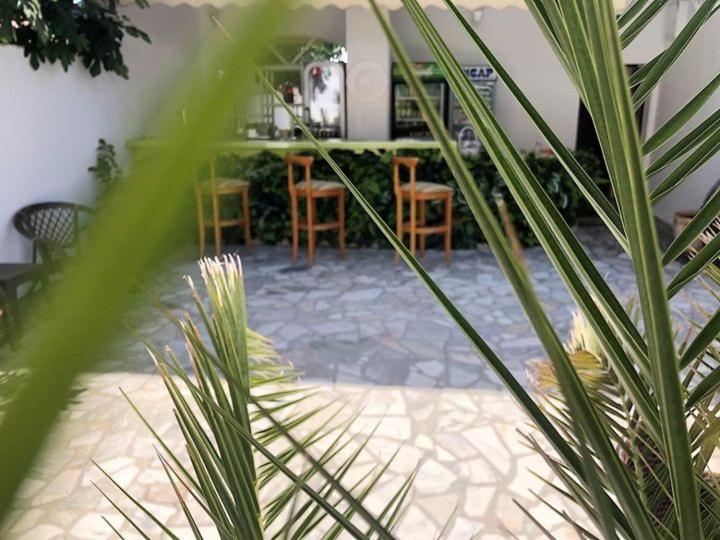 סוזופול Апартамент Холи מראה חיצוני תמונה